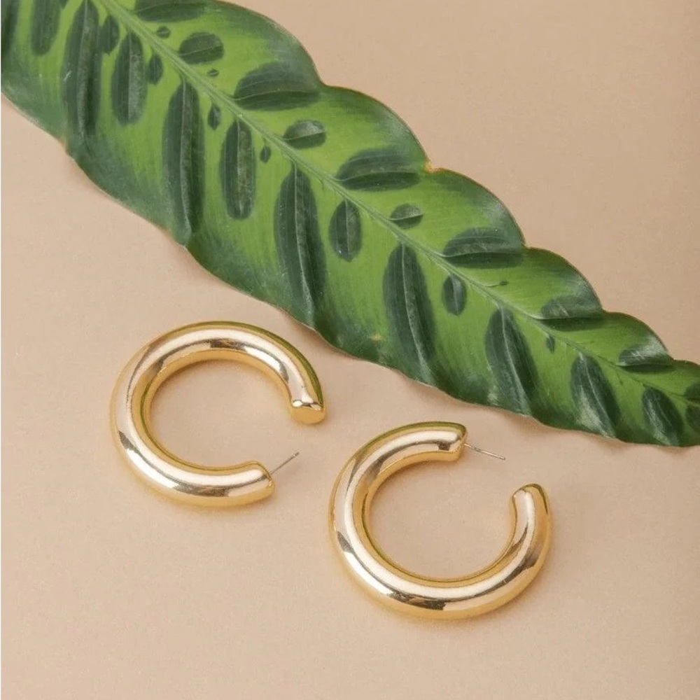 Casa Clara Dallas Hoop Earrings in Gold